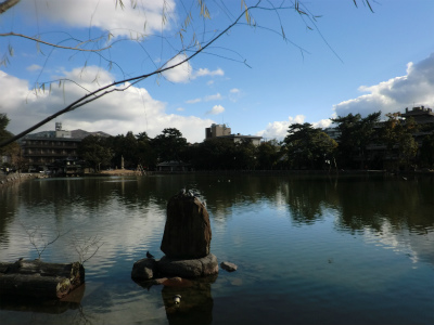 奈良公園の池