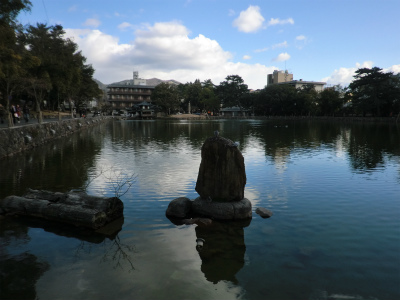 奈良公園の猿沢池