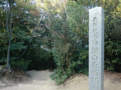 弥山の原始林の碑