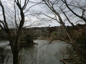 龍安寺の池