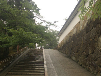 姫路城の外壁