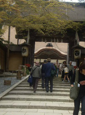 高野山金剛峰寺の門と周囲の新緑